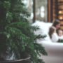Federal Workforce: Extended Holiday Break and 2026 Pay Raise